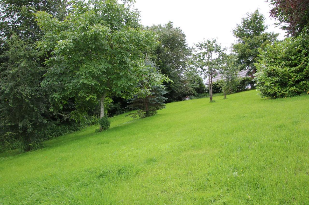Ferienhaus Eifelnest Scheid  외부 사진